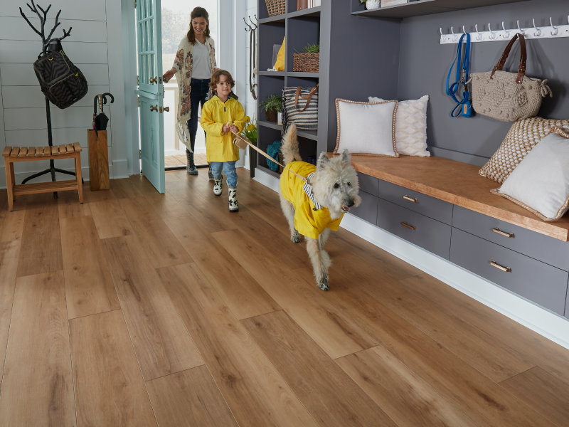 67907_847_solidtech_campaign_image_24_$fullQuality$-Pet-Proof-LVP-800x600