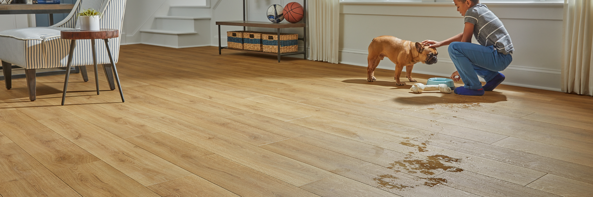 Laminate flooring for active families and pets - 1800x600