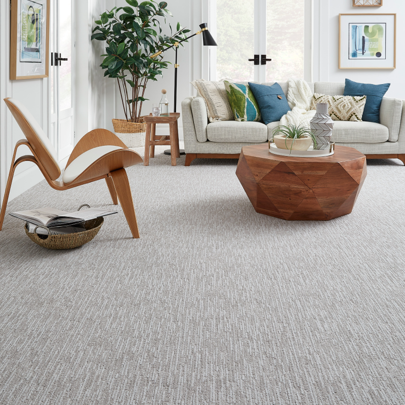 Carpet Fiber Comparison: Nylon vs. Polyester vs. Triexta vs. Wool